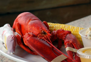 Lobster
